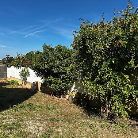 别墅 Maison Fonctionnelle Avec Jardin Et Abordable 土伦